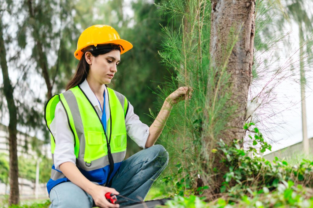 Vegitation management in texas